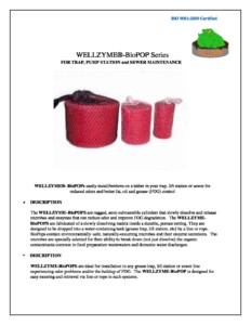 WELLZYME-Solid Form Brochure 